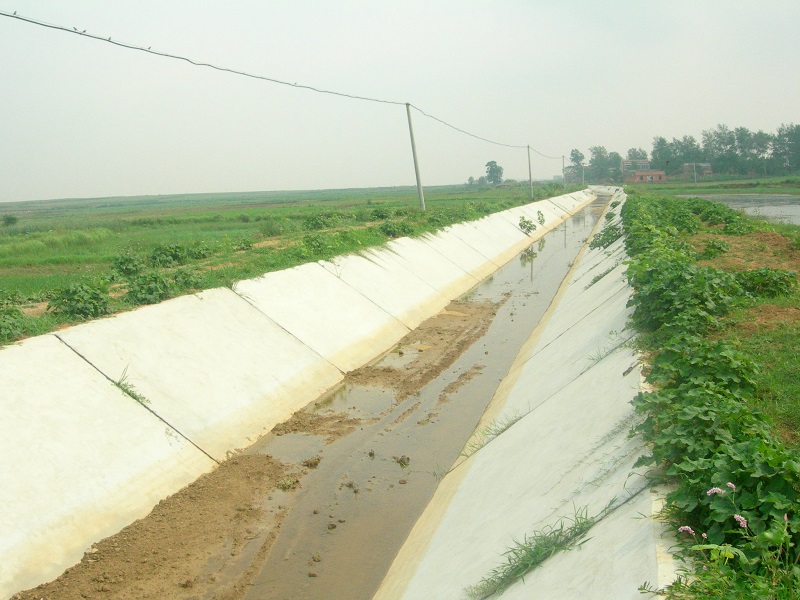 2006年双沟土地整理1